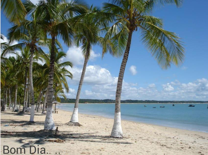 Praia Dos Corais Apt 24 Coroa Vermelha Kültér fotó